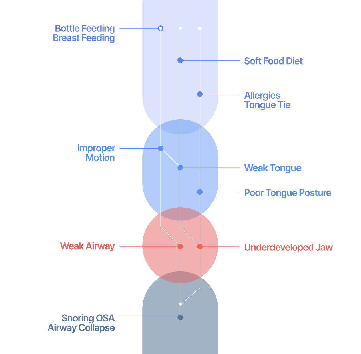 Airway health connecting the dots