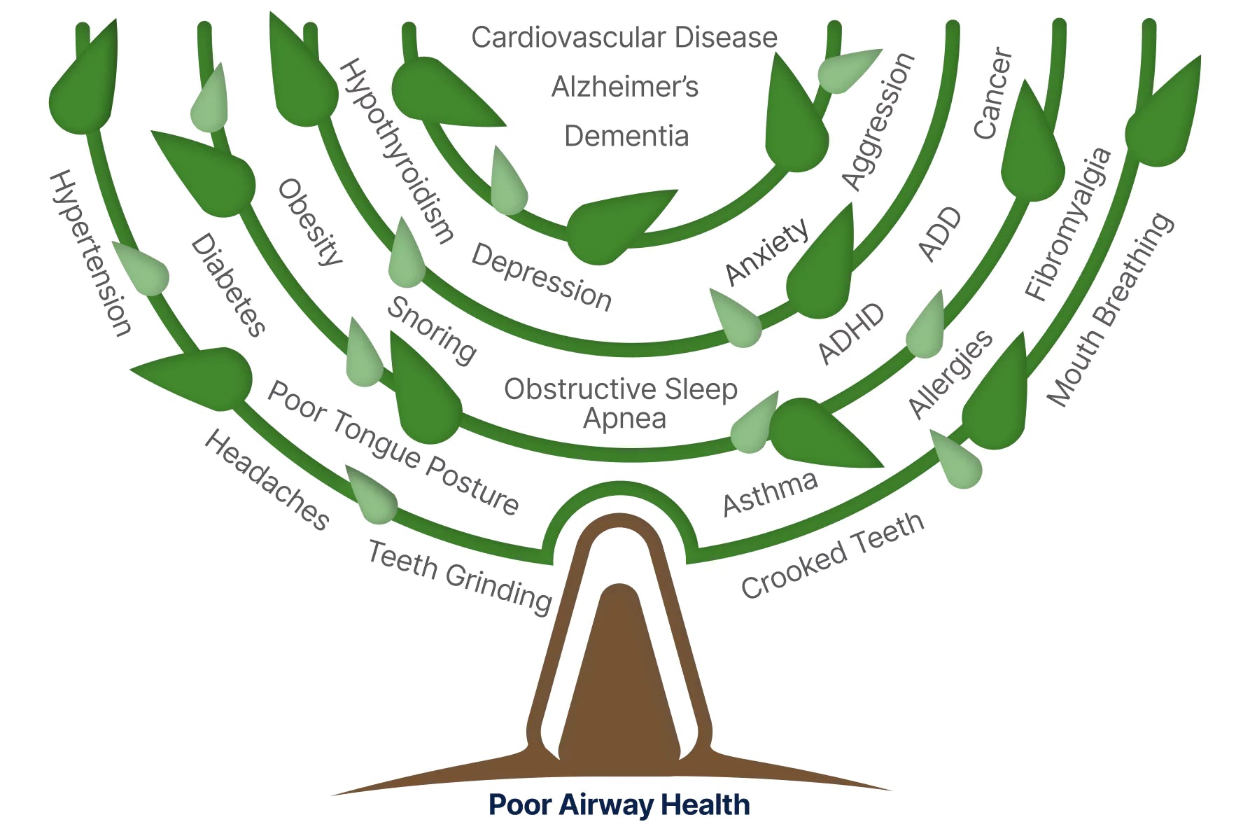 Why airway health matters root cause